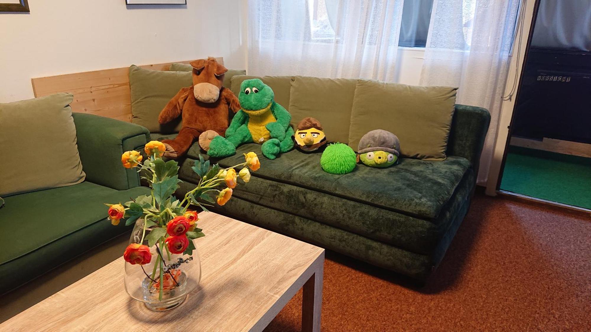 Appartement Moni Xxl 66M2 カプルーン エクステリア 写真